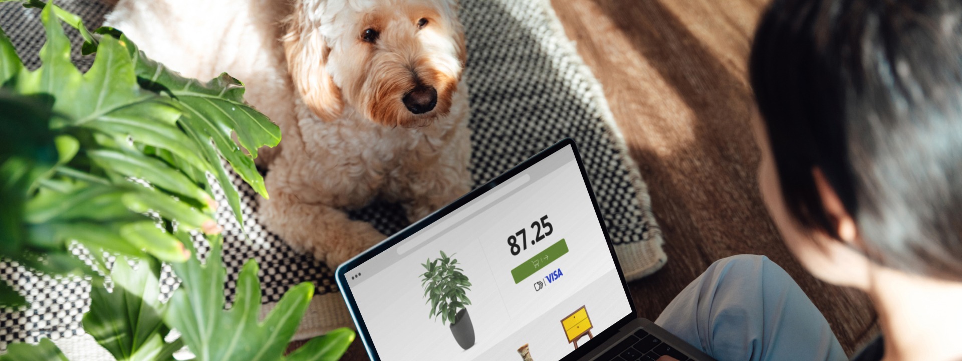 Woman making an online purchase desktop