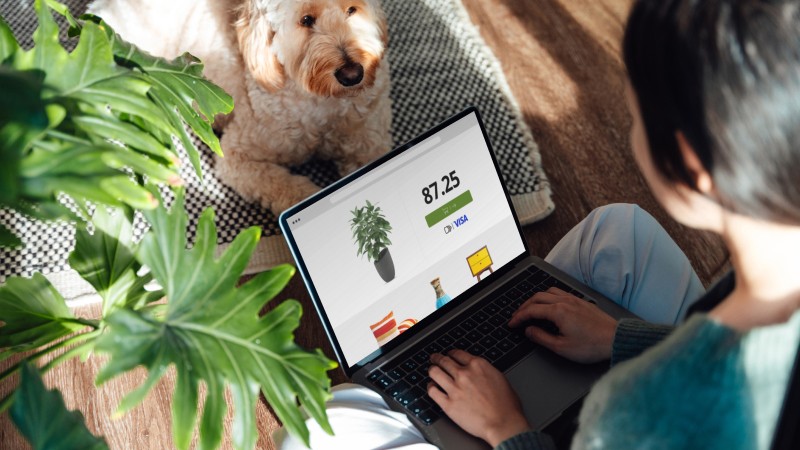 Woman making an online purchase desktop